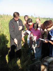 Learning about the plants