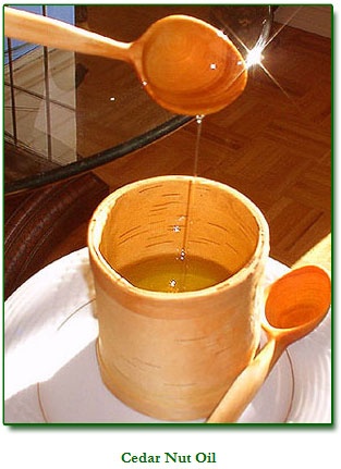 Siberian Cedar Nut Oil