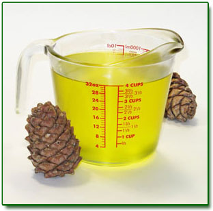 100% Pure Siberian Cedar Nut Oil