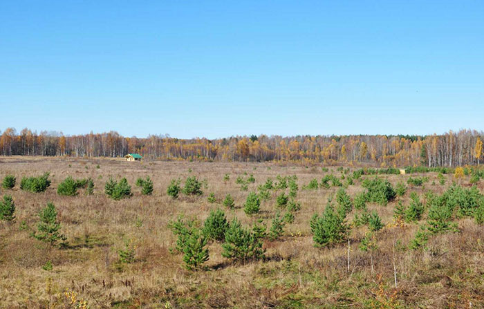 eco-settlement. russia