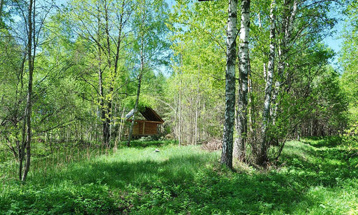 eco-settlement. russia