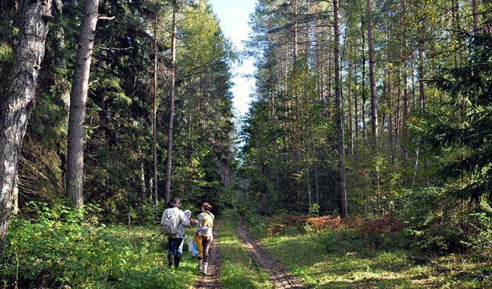 eco-settlement. russia