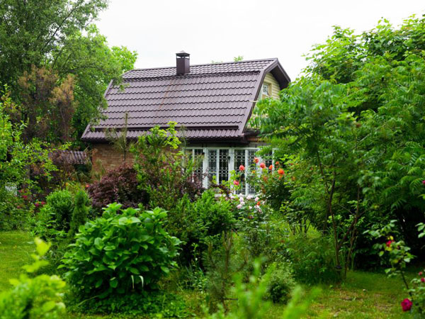 ringing cedars. Dachniks. Dacha Movement