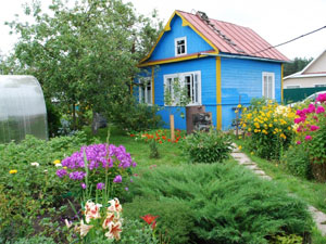 ringing cedars. Dachniks. Dacha Movement