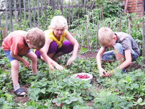 ringing cedars. Dachniks. Dacha Movement