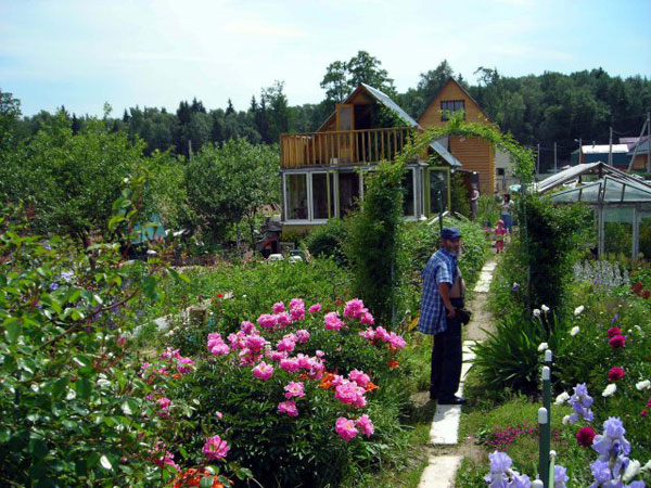 ringing cedars. Dachniks. Dacha Movement