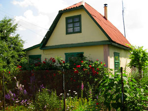 ringing cedars. Dachniks. Dacha Movement