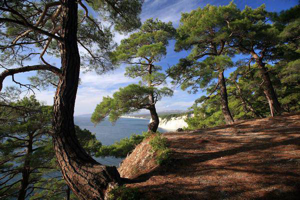 ringing cedars. dolmens