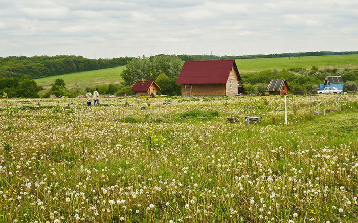 kin's settlement