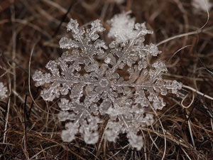 Russian Winter