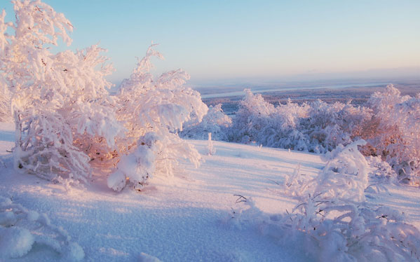 Russian Winter