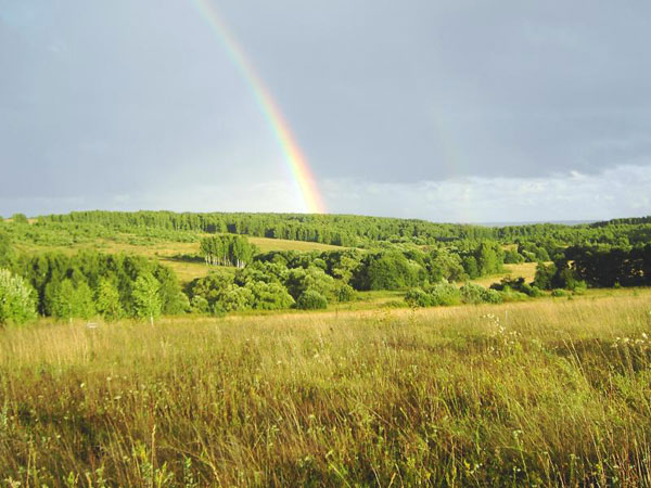 Vladimir Megre. Kin's settlement