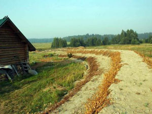 vladimir megre. kins settlement