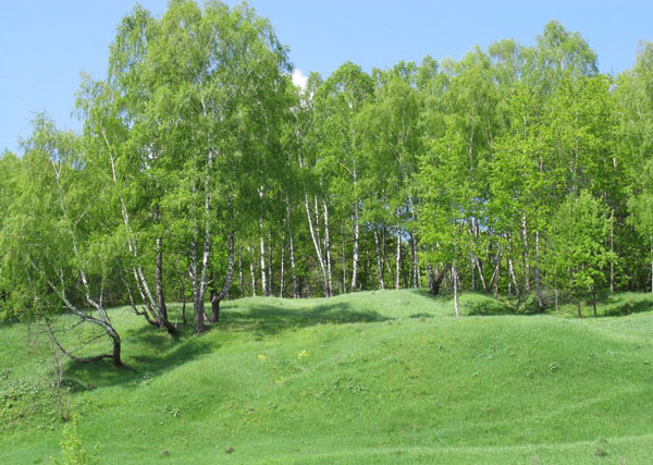 ringing cedars. living in kin's settlement