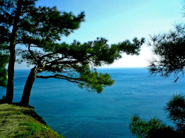 ringing cedars. Gelendzhik. dolmens