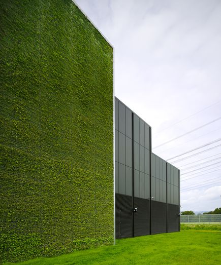 green walls