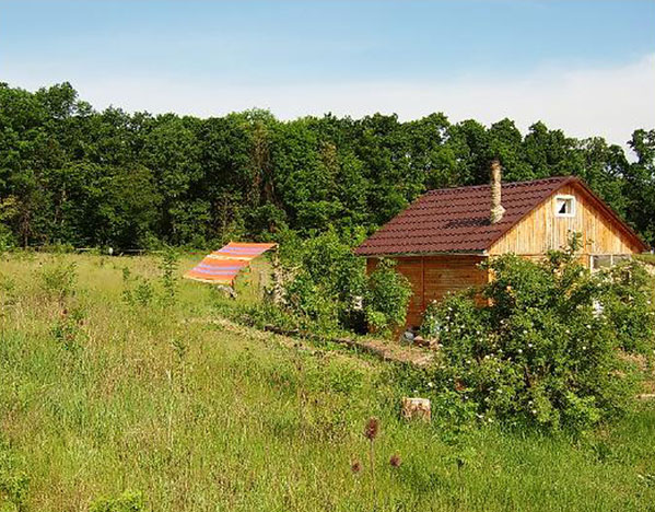 Ringing Cedars Domain Schastlivoe