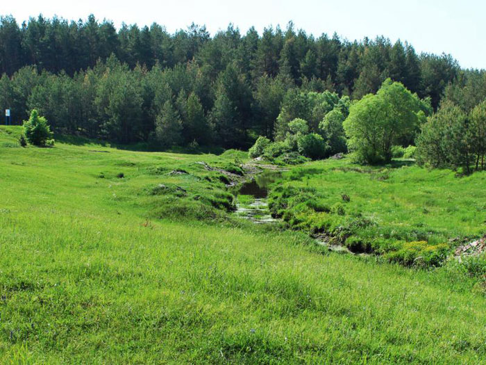 Russia. ringing cedars of Russia