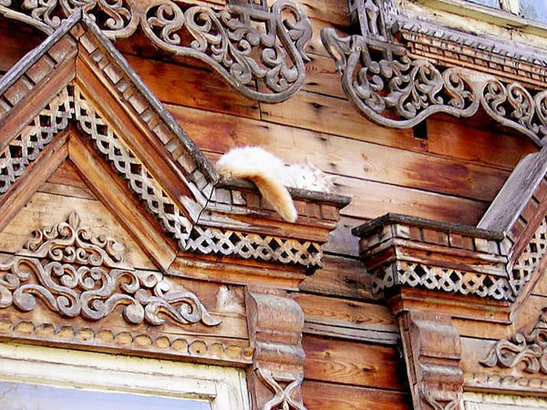 ringing cedars. wood architecture