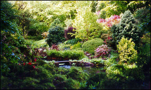 forest gardening