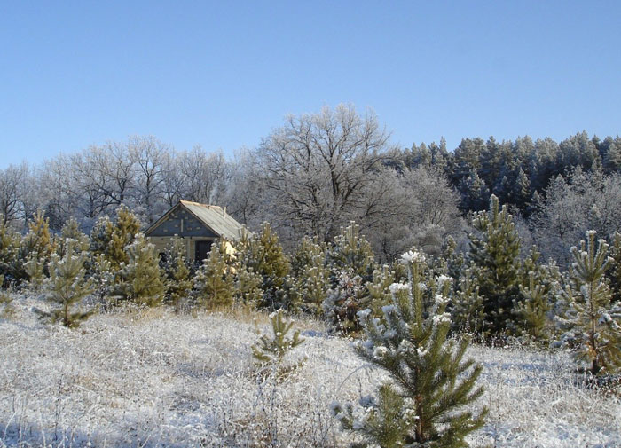 ringing cedars. living in kin's domain