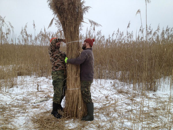 ringing cedars. living in kin's settlement