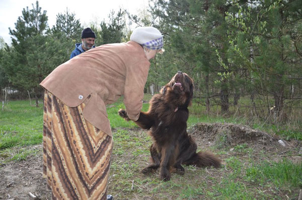 ringing cedars. living in kin's settlement