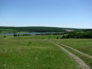 vladimir megre. kins settlement ruzhichevo