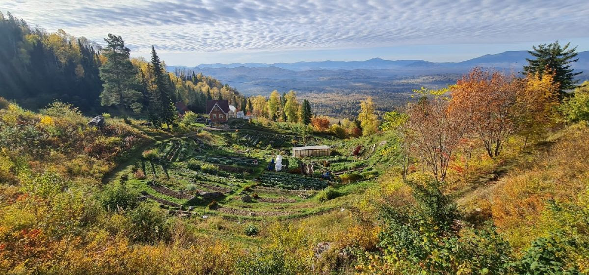 Garden of Eden in the Siberian taiga: kin's domain of Denis Safronov
