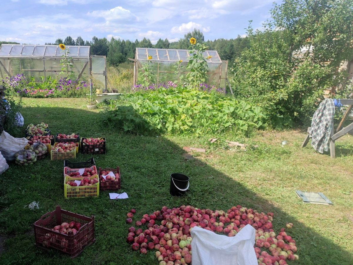 Taran-Ignatiev family garden