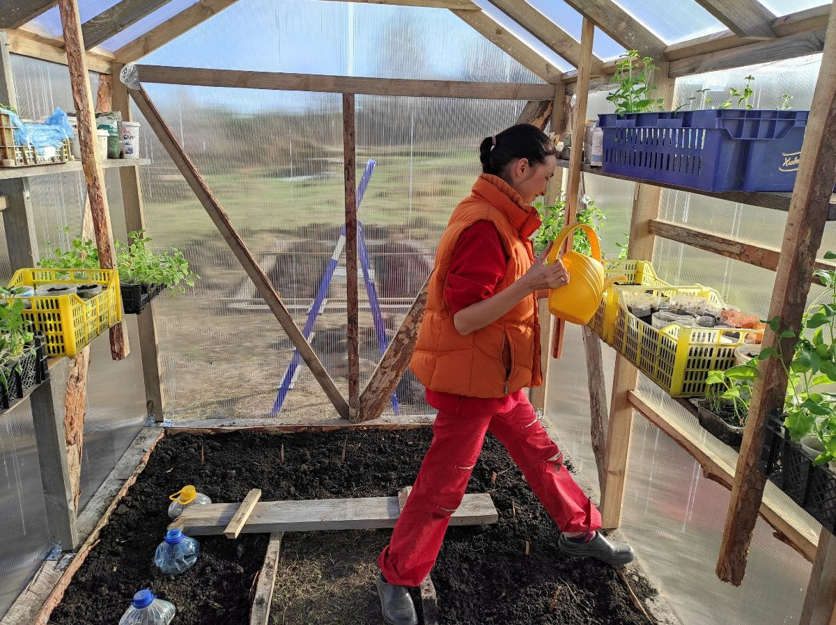 Victoria tries to approach the collection and drying of herbs