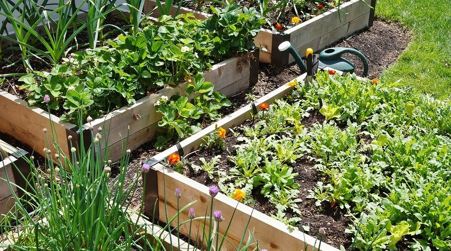 Do not make a clear division of garden beds for different vegetables