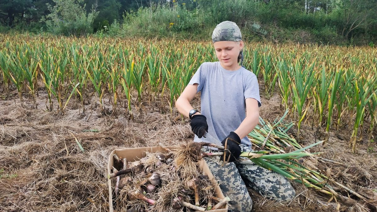 A kid in kin's settlement «Milenki»