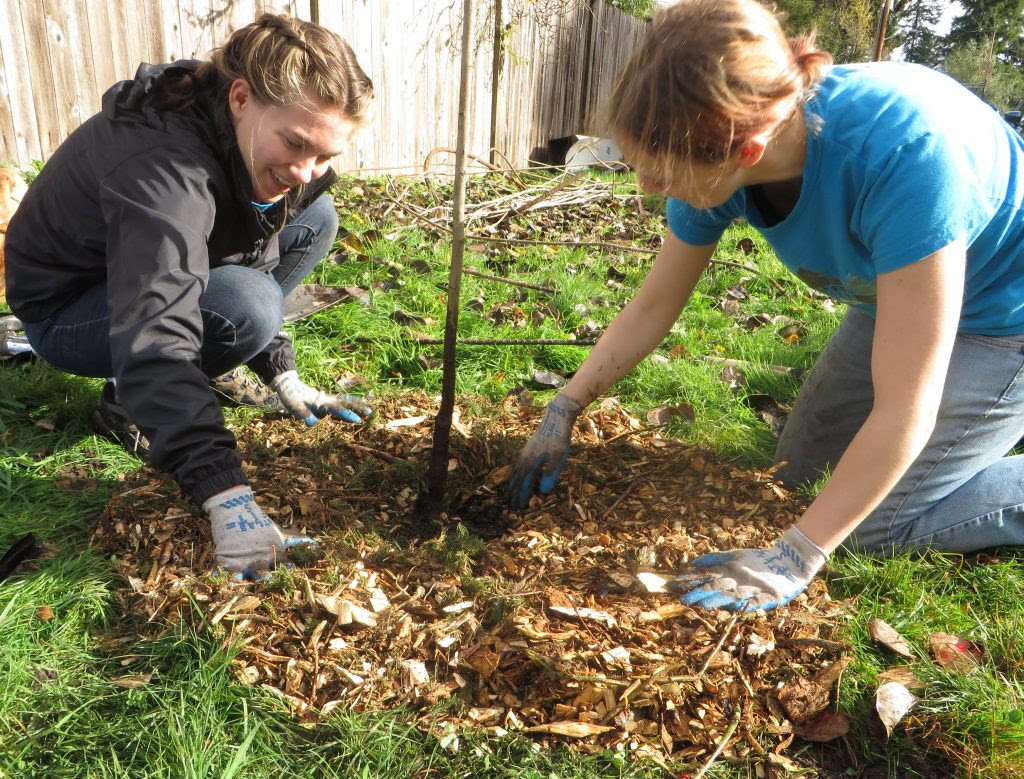 Prepare everything for the future garden