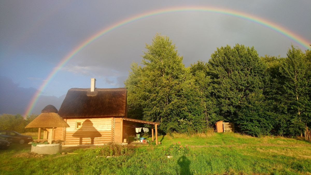 settlement Aleje Cedrowe (Cedar Lanes) located in Poland