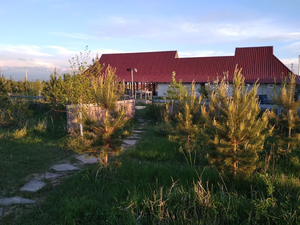 Saplings from the nursery are purchased by residents of kin’s settlements around Kazakhstan