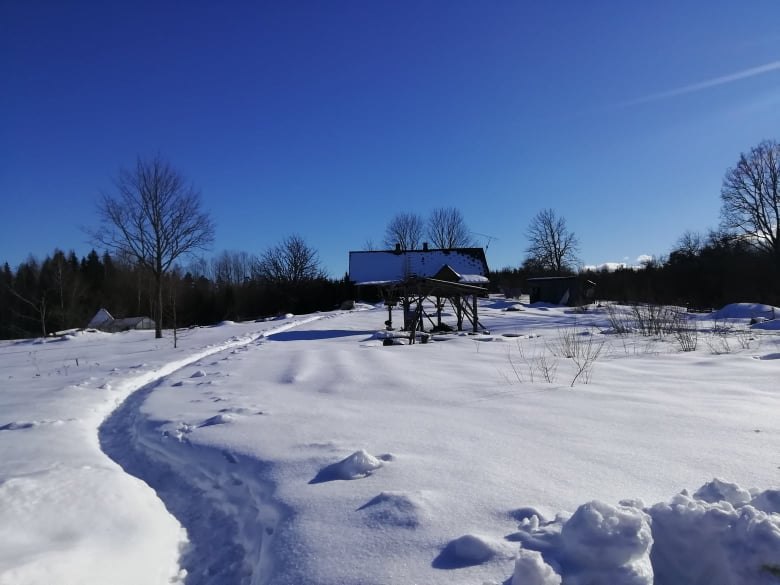 Winter in kin's settlement Mauri