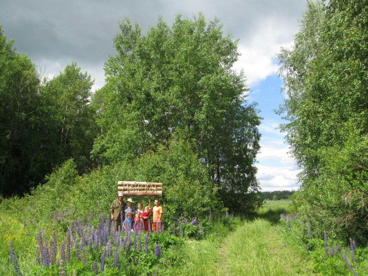 Nature of Kin's Settlement «Mayskoye»