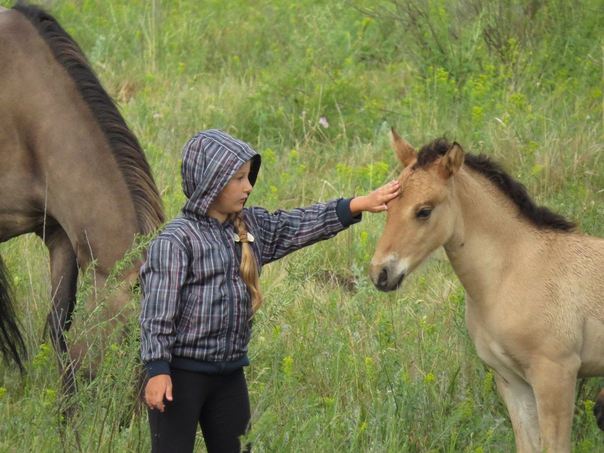 Settlement Chistoe nebo: the experience of creating a school