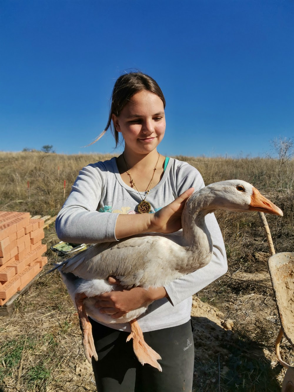A girl with a goose