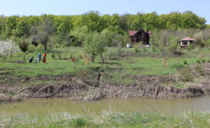 The nature in the settlement Schastlivoe