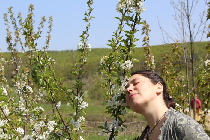 Beautiful woman with the plants in settlement Schastlivoe