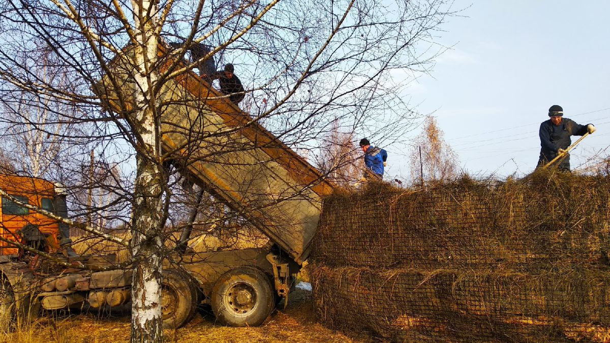 Hay harvesting in Light Hights