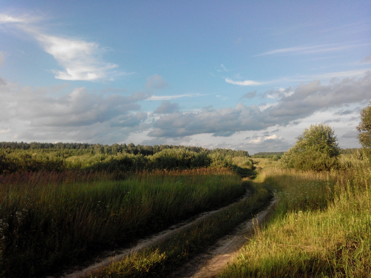 Kin’s settlement «Rodniki»