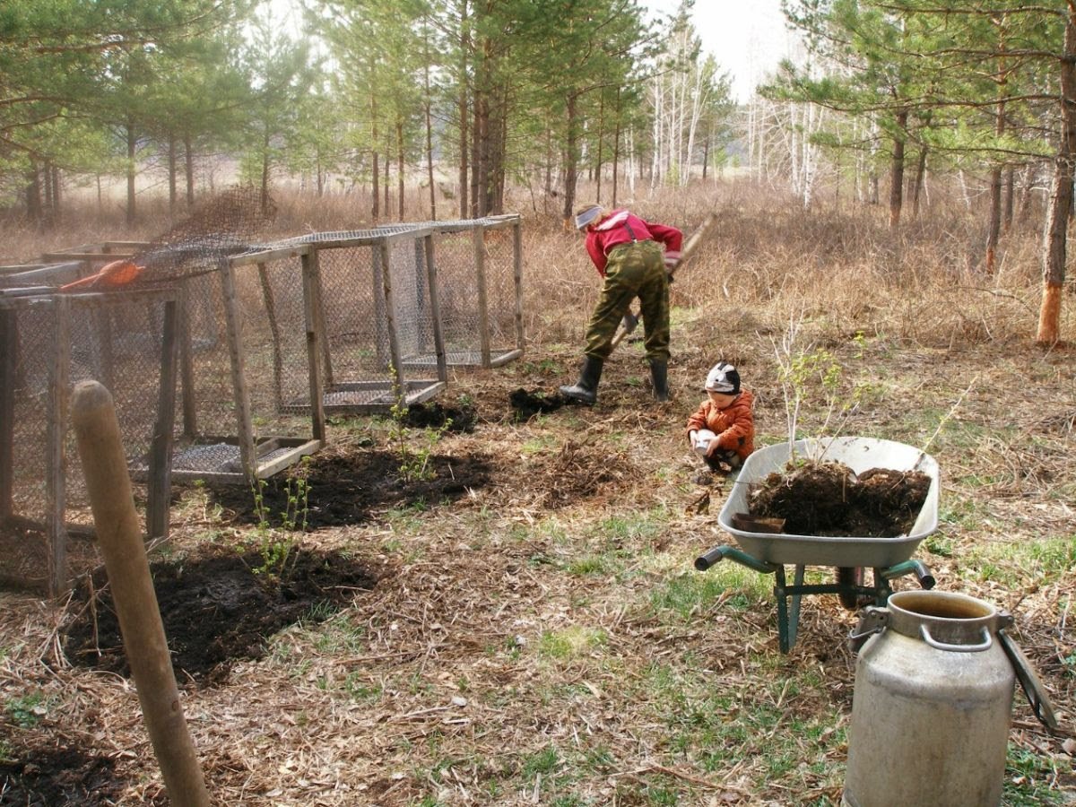 Now the Mayurov kin’s domain is: 0.5 hectares of flowering gardens with fruit trees