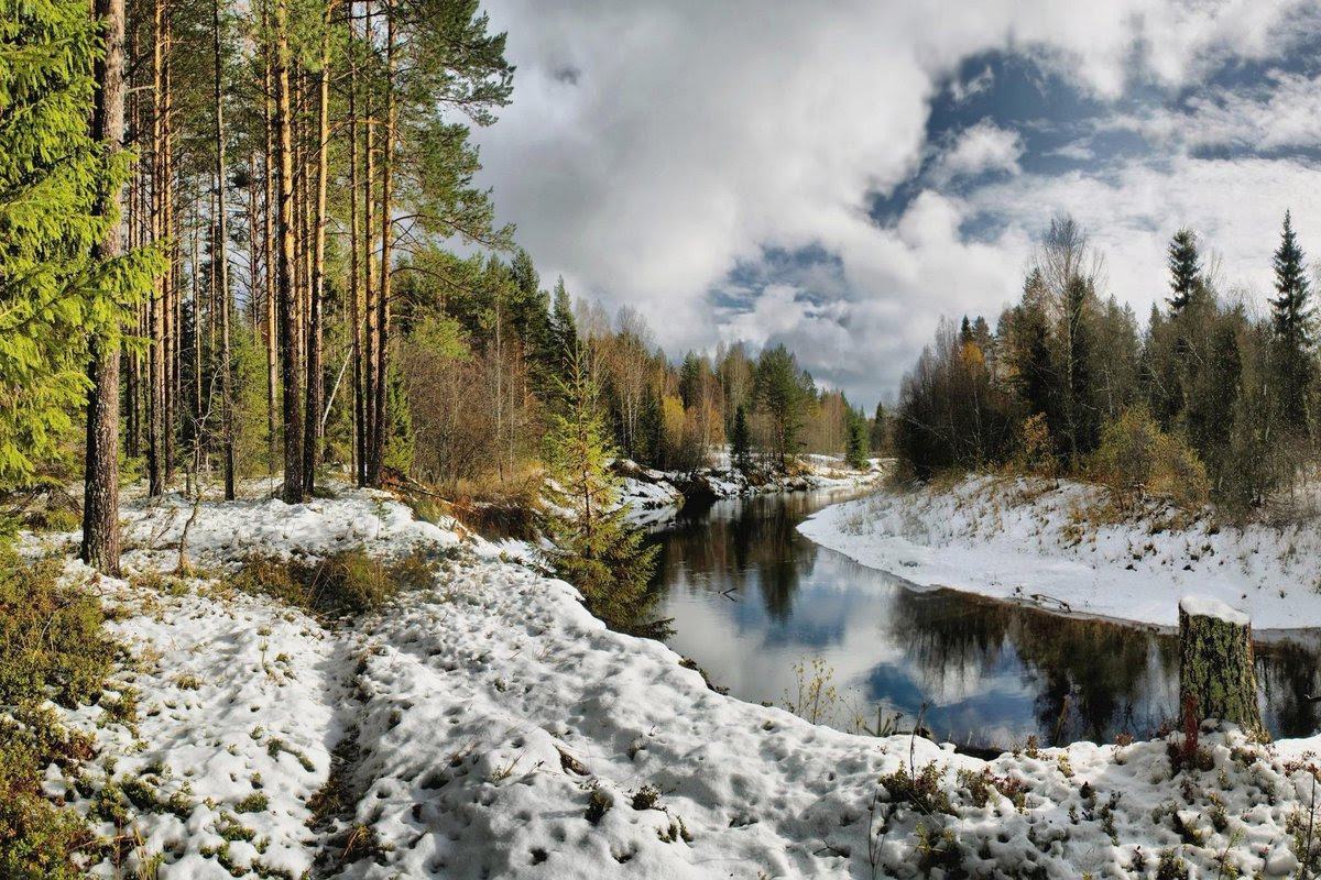 How does the taiga change in spring