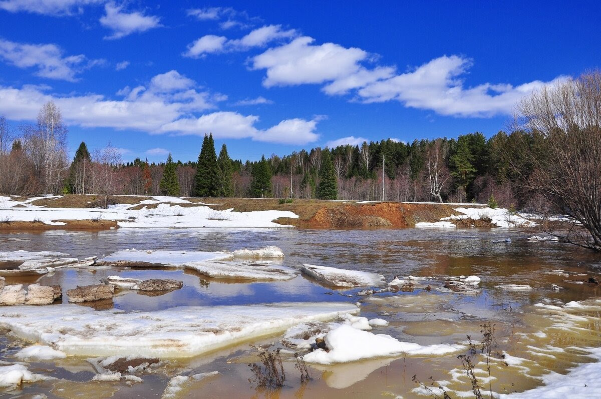 How does the taiga change in spring