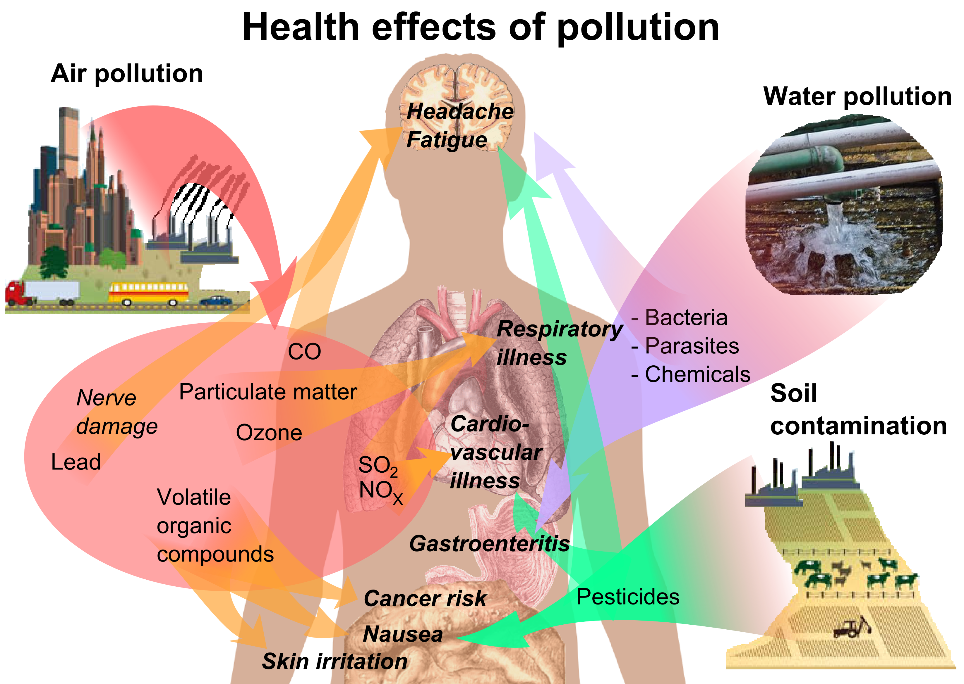 health effects from pollution