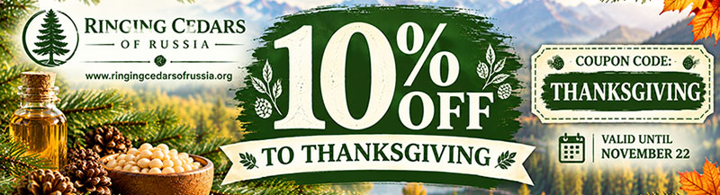 boxing week coupon