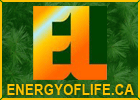 EnergyofLife.ca